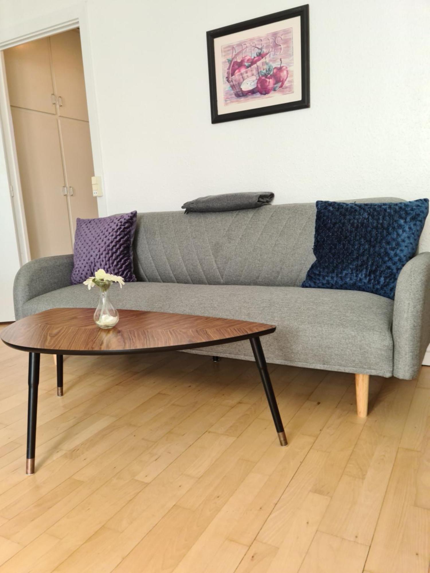 Bayer Copenhagen Appartement Rodovre